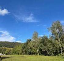 Grundstück zu verkaufen in Dresden 80.000,00 € 737 m²