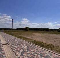 Grundstück zu verkaufen in Torgelow 82.000,00 € 748 m²