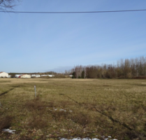 Grundstück in VetschauSpreewald 207.000,00 € 21328 m² - Vetschau/Spreewald