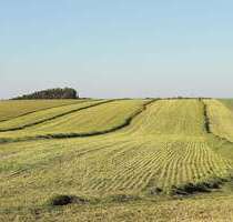 Grundstück in Unteregg 574.500,00 € 76600 m²