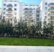 Wohnung zum Mieten in Berlin 1.650,00 € 60 m²