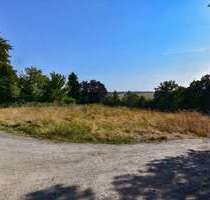 Grundstück zu verkaufen in Crimmitschau 115.000,00 € 1226.75 m²