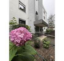 Wohnung zum Kaufen in Brühl 259.000,00 € 114 m²