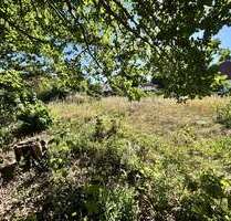 Grundstück zu verkaufen in Radis 32.000,00 € 670 m²
