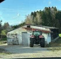 Halle in Schechen 150,00 € 18 m²