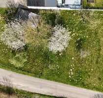 Grundstück zu verkaufen in Bad Säckingen 375.000,00 € 1167 m²