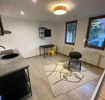 Wohnung zum Mieten in Halle 450,00 € 24.1 m²