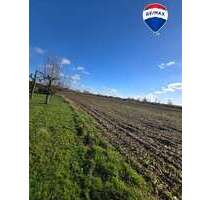 Haus zum Kaufen in Visbek Rechterfeld 889.400,00 € 210 m² - Visbek / Rechterfeld