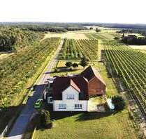 Haus zum Kaufen in Jessen (Elster) 398.000,00 € 129 m²