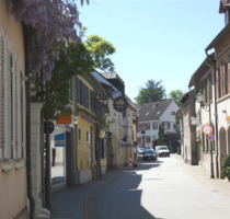 Haus zum Kaufen in Deidesheim 750.000,00 € 620 m²