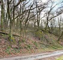 Grundstück in Tiefenthal 11.000,00 € 2666 m²