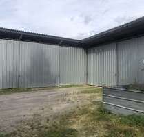Halle in Sinsheim-Dühren 1.500,00 € 350 m²