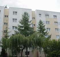 Wohnung zum Mieten in Wolgast 341,27 € 64.39 m²