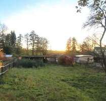 Grundstück zu verkaufen in Mühltroff 44.500,00 € 1457 m²