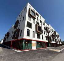 Büro in Ulm 2.242,50 € 149.5 m²