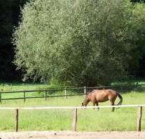 Haus zum Mieten in Todendorf 1.600,00 € 124 m²