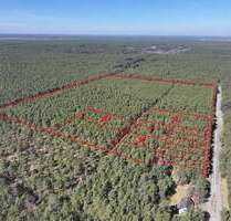 Grundstück in Borkheide 75.900,00 € 97887 m²