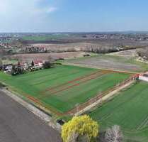 Grundstück in Halle 23.900,00 € 7528 m²