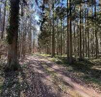 Grundstück in Züssow 11.900,00 € 11850 m²