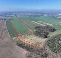 Grundstück in Arnsdorf 8.900,00 € 14050 m²