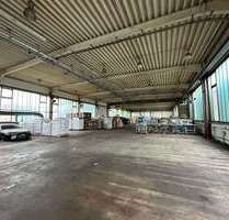 Halle in Pirmasens 5.523,50 € 1221 m²