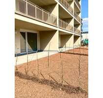 Wohnung zum Kaufen in Stuttgart-Hausen 516.000,00 € 81.99 m²