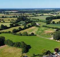 Haus zum Kaufen in Schinkel 419.000,00 € 180 m²