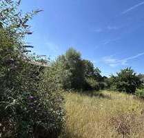 Haus zum Kaufen in Vogtsburg 845.000,00 € 246 m²