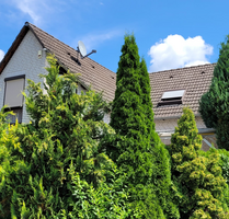 Haus zum Kaufen in Göttingen 669.000,00 € 187 m²