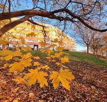 Wohnung zum Mieten in Reichenbach 275,00 € 56 m²