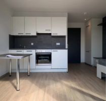 Wohnung zum Mieten in Augsburg 530,00 € 23.8 m²