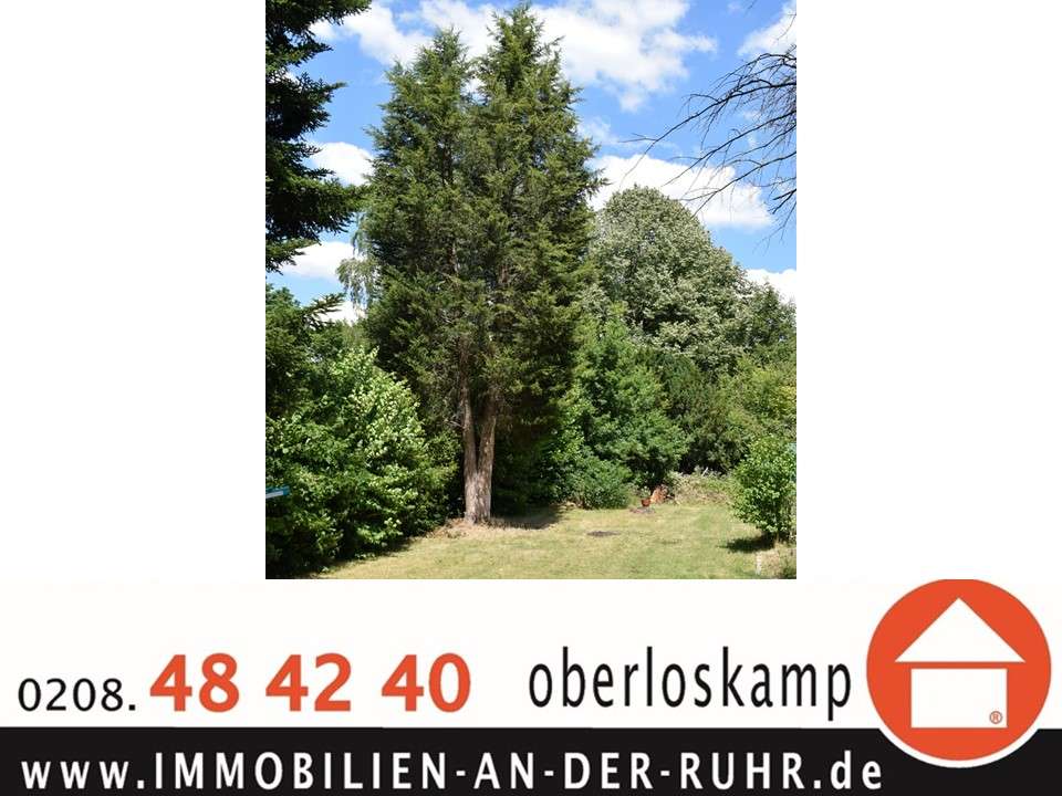 Grundstück zu verkaufen in Mülheim an der Ruhr 598.000,00 € 1150 m²