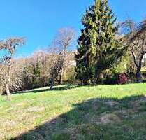 Grundstück zu verkaufen in Calw-Hirsau 173.000,00 € 1240 m²