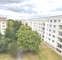 Wohnung zum Mieten in Bad Düben 300,00 € 59.8 m²