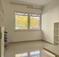 Wohnung zum Mieten in Mainz 500,00 € 27 m²