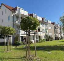 Wohnung zum Mieten in Pirna 589,48 € 69.35 m²