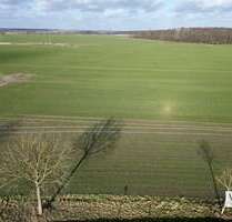 Grundstück zu verkaufen in Salzwedel 99.000,00 € 3600 m²
