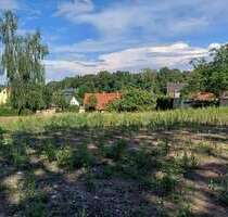 Grundstück zu verkaufen in Weißbach 110.000,00 € 1300 m²