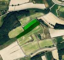 Grundstück in Hohenwart 194.820,00 € 19100 m²