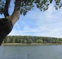 Wohnung zum Mieten in Bonn 690,00 € 60 m²