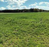 Grundstück in Treuchtlingen-Gundelsheim 60.000,00 € 10932 m²
