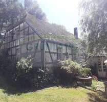 Haus zum Kaufen in Vierlinden 320.000,00 € 300 m²