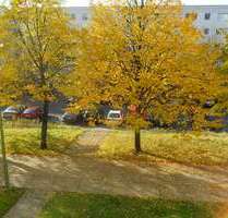 Wohnung zum Kaufen in Berlin-Kaulsdorf 165.000,00 € 64 m²