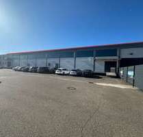 Halle in Viernheim 4.000,00 € 1200 m²