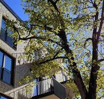Wohnung zum Mieten in Ahrensburg 800,00 € 52 m²