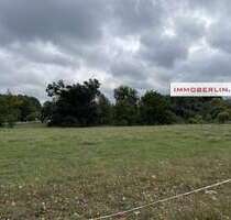 Grundstück zu verkaufen in Trebbin 245.000,00 € 942 m²