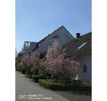 Wohnung zum Mieten in Mannheim 1.320,00 € 105 m²