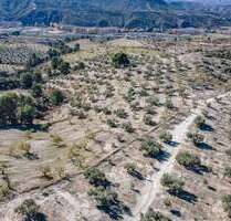 Grundstück zu verkaufen in Jayena 192.600,00 € 181204 m²