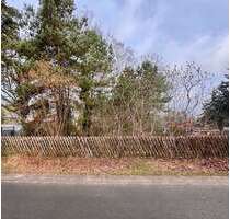 Grundstück zu verkaufen in Wandlitz OT Klosterfelde 199.000,00 € 1001 m² - Wandlitz/ OT Klosterfelde