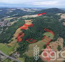 Grundstück in Rutsweiler an der Lauter 29.900,00 € 61812 m²